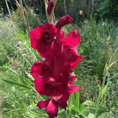 Bed and breakfast Un Temps Pour Le Reve Valence (Drome)