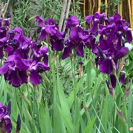 Un Temps Pour Le Reve