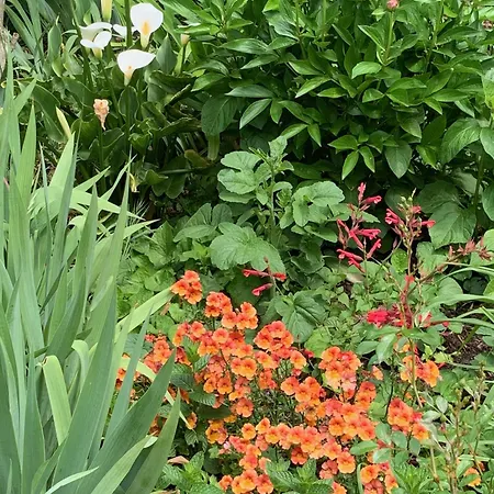 Un Temps Pour Le Reve 3*