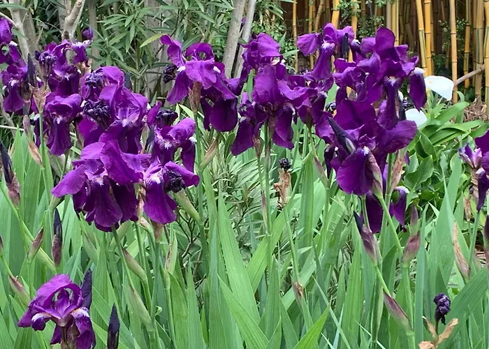 Un Temps Pour Le Reve