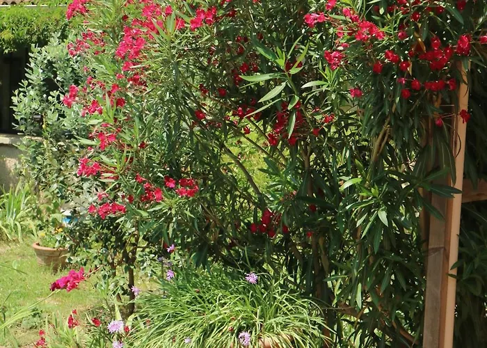 Un Temps Pour Le Reve 3* Valence