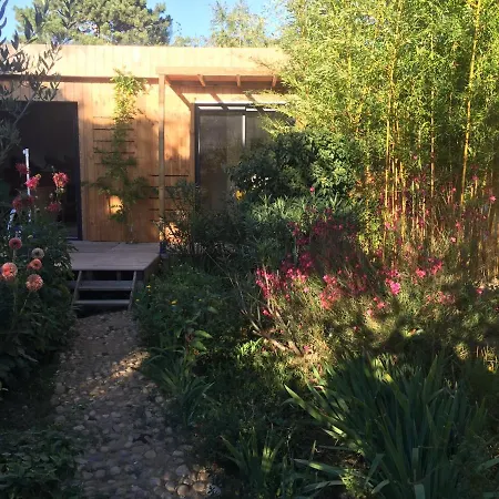 Un Temps Pour Le Reve 3*