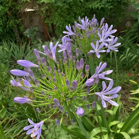 Un Temps Pour Le Reve Bed & Breakfast Guilherand-Granges