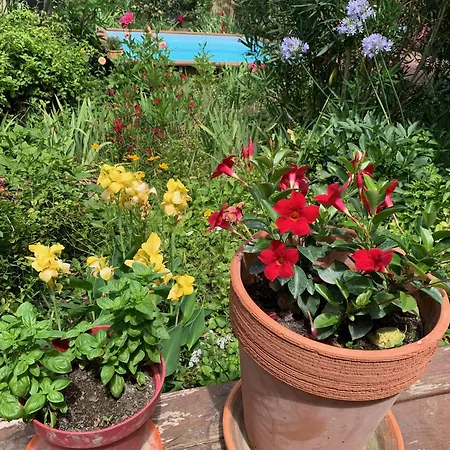 Un Temps Pour Le Reve 3*