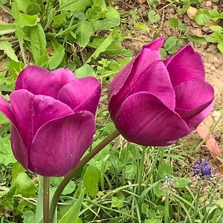 Un Temps Pour Le Reve Guilherand-Granges