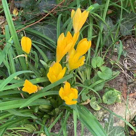 Un Temps Pour Le Reve 3* Guilherand-Granges