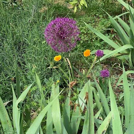 Bed & Breakfast Un Temps Pour Le Reve