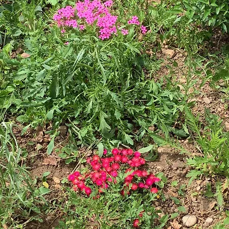 Bed & Breakfast Un Temps Pour Le Reve 3*