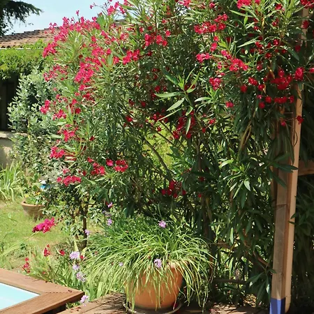 Un Temps Pour Le Reve 3* Valence (Drome)