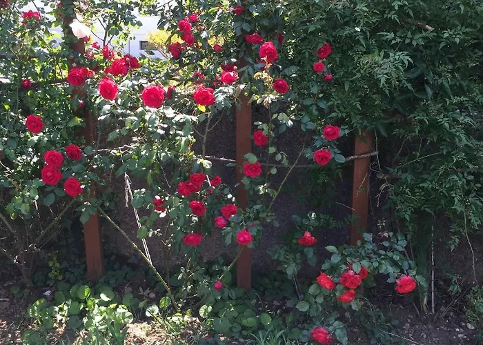 Un Temps Pour Le Reve Bed & Breakfast Valence (Drome)