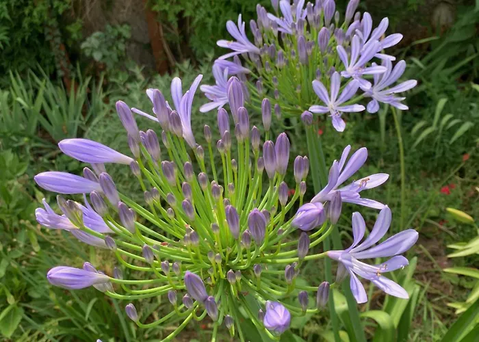 Un Temps Pour Le Reve Alojamento de Acomodação e Pequeno-almoço Valence (Drome)
