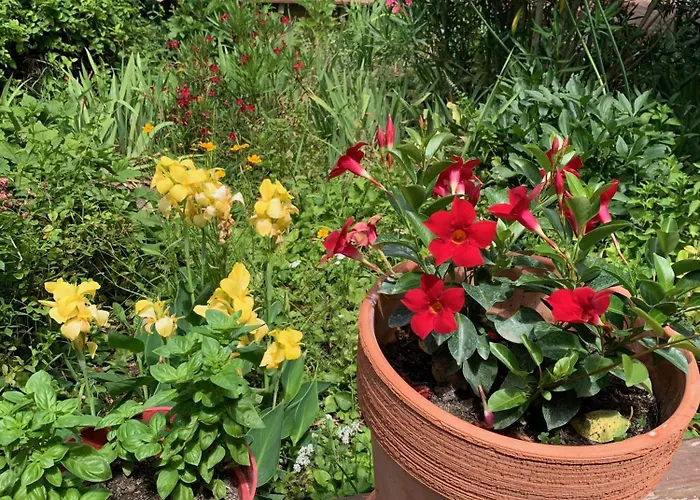 Un Temps Pour Le Reve 3*