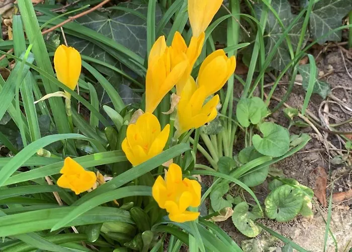 Un Temps Pour Le Reve 3* Valence (Drome)