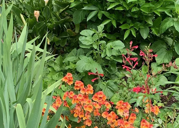 Un Temps Pour Le Reve 3*