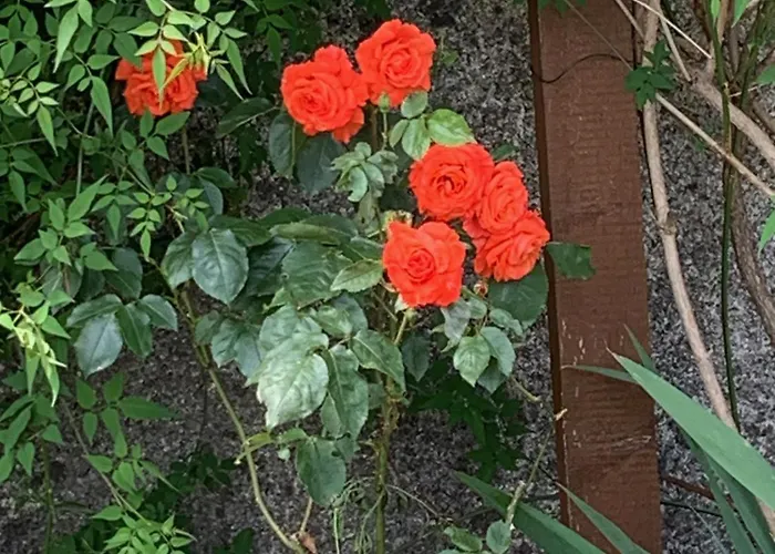 Un Temps Pour Le Reve Bed & Breakfast Valence (Drome)